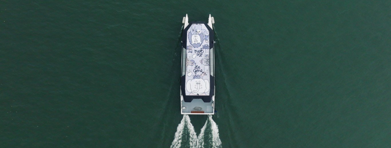 Vue aérienne du Gone