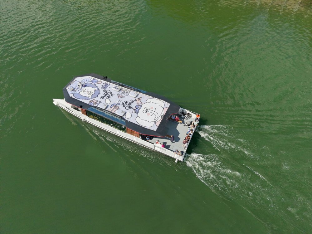 Vue aérienne du bateau "le Gone"