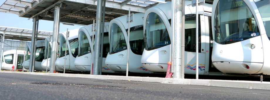 37 nouveaux conducteurs rejoignent les équipes TCL : l’offre du réseau évolue !