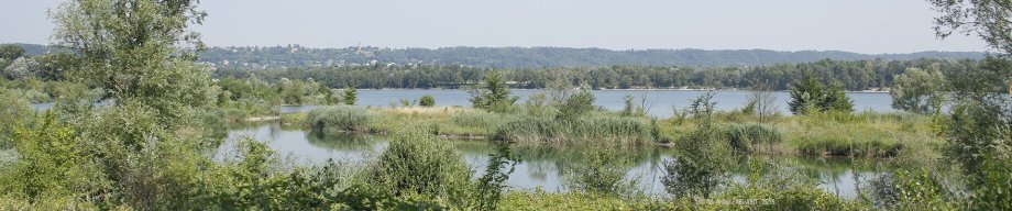 Desserte du Grand Parc de Miribel Jonage: Le SYTRAL déploie une offre exceptionnelle