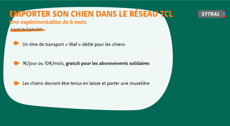 Mise en place d'une expérimentation autorisant l'accès des chiens sur le réseau TCL