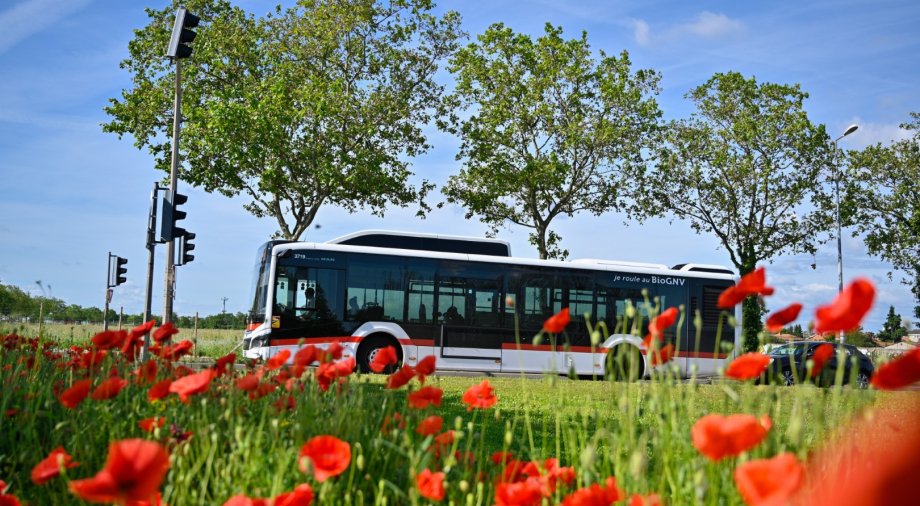 Ligne de bus TCL sur l'allée des Droits de l'Homme (crédit : Éric Soudan - Alpaca Productions)